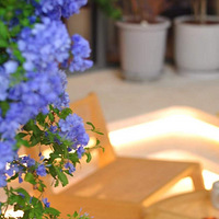 ���˴���̨���Ͳ�ȥ����¶Ӫ�ˣ��ѵðᶫ��