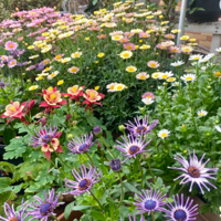 �Ƽ�һ����Ŀ�ա����ף���ĺ��ر�