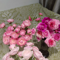 ����get��ŷ�µ�����