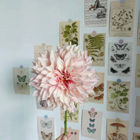 ����ӵ�о����������ˣ�