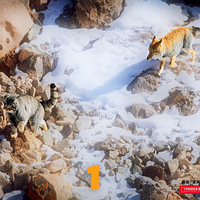 �غ����������ᣬڹ��ʲô�д�Ӯ�㣬�Ͷ������㣬Ц��������