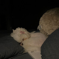 �һ�û˯�����Ǽҹ��Ѿ������Ա�����N������