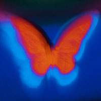 ��¼һ�º���������