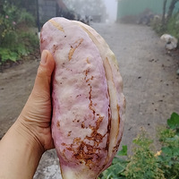 óƬ¸Ӧ
