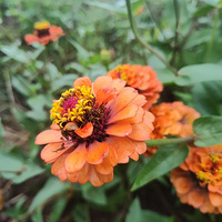 ����Ļ�̫������