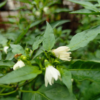 �������֮�󡭡�