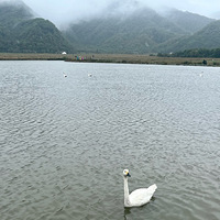 ԼũѰ֮