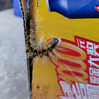 ����ë���׵�TA�ÿɰ�������