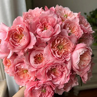 ����û�¸ɾ����򻨻�