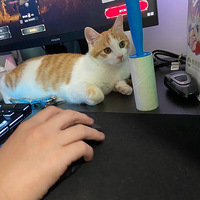 ��������������èҲ��