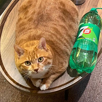 ������ϲ����ϲ��2Lװ7ϲ��Ӱ