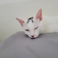 è��˯��������