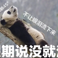 8ڸ4ǮˣͶٷǮ