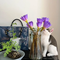 ��ee˵������ȸè���ҿ����±���ȷʵ��Ұ��ë