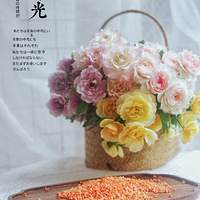 ��������Ľ������ٵľ���