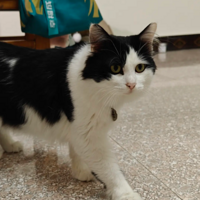 �治�������Ҿ�Ȼ��������һ����