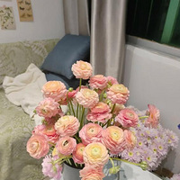 �������������ĵ����