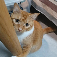 ����С���� ��λee��ϲ����