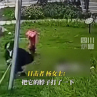 ɶȮҧŮͯĸٷҵ˺ڹתҽԺ