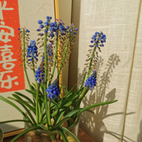 ������һ���ˣ�������һ����ջ�İ�