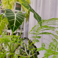 ����֮����������