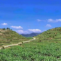 ���������������ι��С�һ��ҿ���