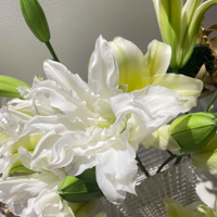 �ذ갬ɯ���ǰ�����������̫���ˣ�̫����