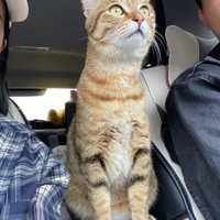 èè�������ɹ��ˡ�