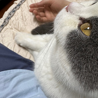 ��ʵ��һ��