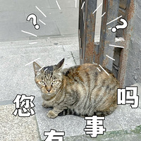 ɽ�����èȷʵ�Ǽ�������ģ��㶼���ӳ�������