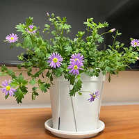 ��������������һЩ�� �����̨Ҳ����Ŷ