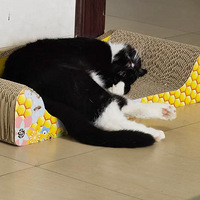 ���������˹���齣�ϲ���Ĳ�����