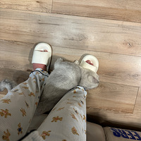 ��˵è�任���µĻ����Ầ�£�Ϊɶ����ֻ�Ǹ�����