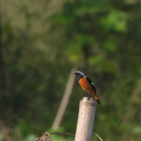 �����ܿ���ʲô֮�ƽ�ʮ��