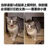 СèģһῴС㡣