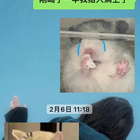 ᵹˮ쵼ҩˣȳ˲θС