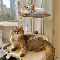 ɹɹ�����ճ�����ֵ��Ϯ�����Σ�Խ��Խ������