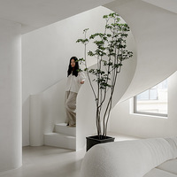 280�O���ҰֻҪ2�����ң�������ת¥������ʧ��ܹ�̽��լ��