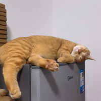 ����Ϊ�أ�17���èè�����ս��