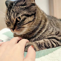 ����ȡ���ֽ��Ƿ壬���ڴ��ȫ�ң�