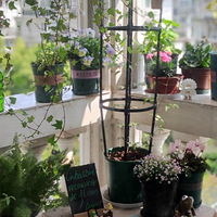 ��ũ�仨ũ-һ������С���ⷿ��С��̨