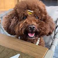 ��ҫһ���ҵ�С��������Ц��