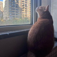 ����һ�´��ٵĲ���