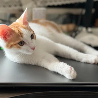 ϲ��˯�ڱ����ϡ������ϵ��ٱ�