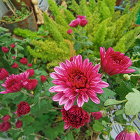 �Ƽ�һ�ҿ��׵ľ����̼�