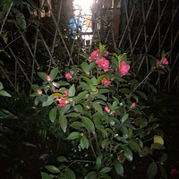 ůů���ջ�����һ��