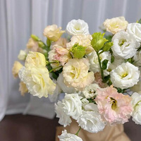 ����ɫ��۹�̫̫̫ò����