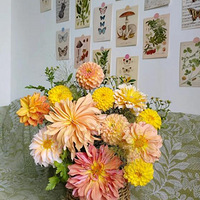 ���������õ�����������ȷ����������