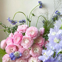 ����ĵ�һ����ĵ������