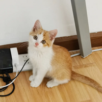 è�����ںúó���